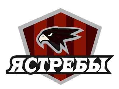 Логотип Ястребы