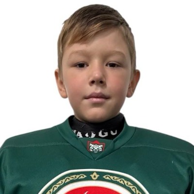 Шайдуллин Данияр