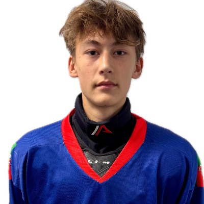 Гареев Динияр