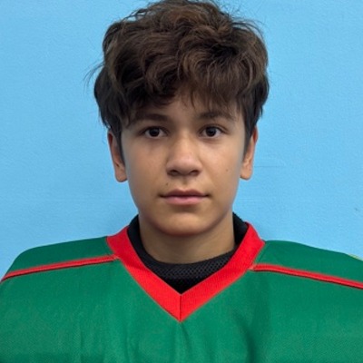 Набиуллин Карим