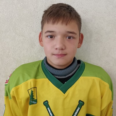 Гатауллин Дамир