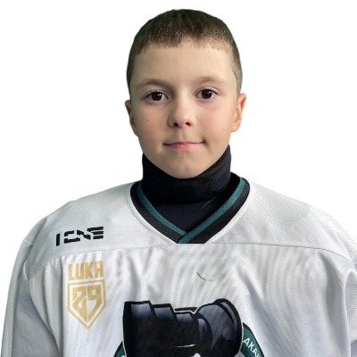 Комендантский Лев