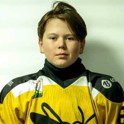 Гайсин Вильнур