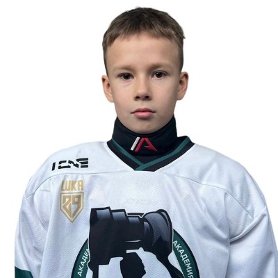 Хамидуллин Амир