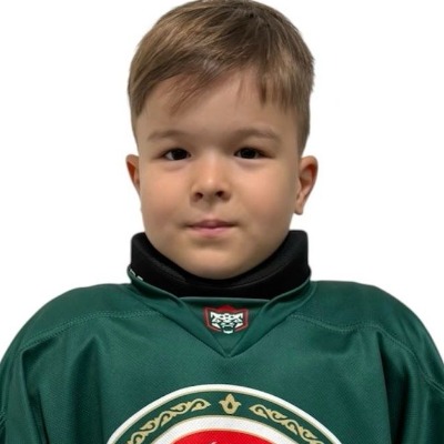 Хамидуллин Эмир