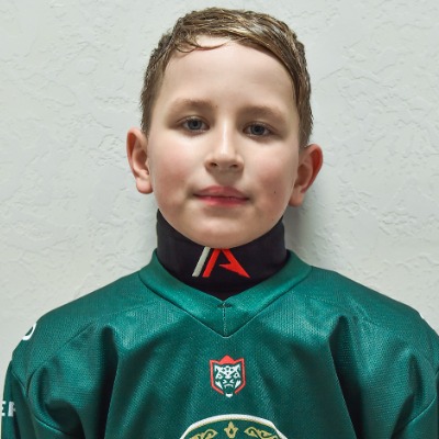 Лепустин Михаил