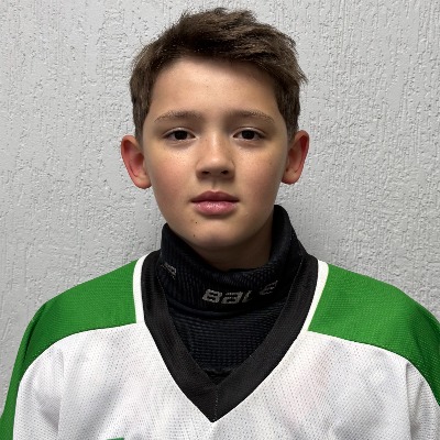 Сафин Данир