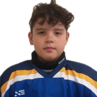 Подвигин Роман